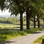 Heuvelrijk Hotel 3*